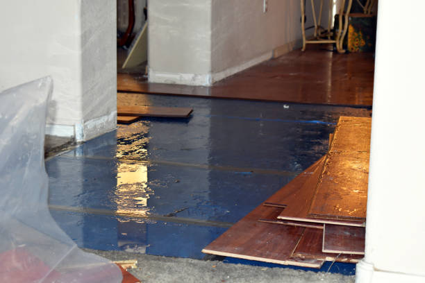 Professional Flood Cleanup technician working in Davis Junction, IL
